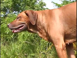 Crowjob In Space Porn Darling Xxx Porn