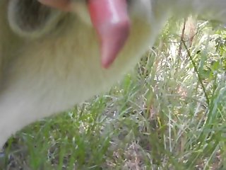 Booty Latina Xxx Porn