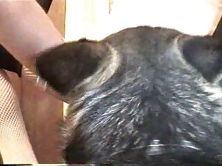 Classic 80s Porn Xxx