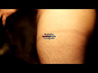 Alexis Ashley Xxx Porn