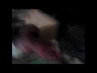 Xxx Marriage Porn