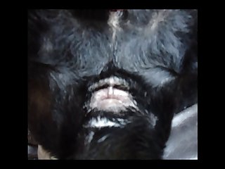 Blk Xxx Porn