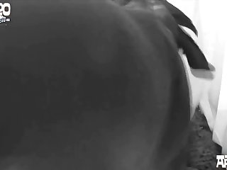 Jordinswetof Public Car Doub Xxx Onlyfans Porn