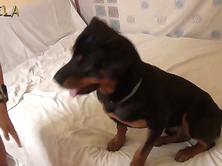 Sex Tube Best Porn Free Xxx @ Porn