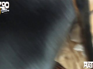 Free Sex Vidoes Porn Hub Xxx