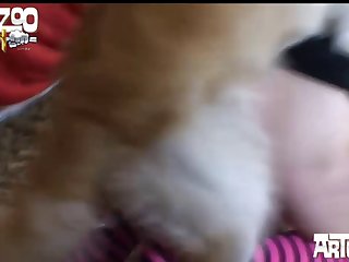Pokemon Snap Xxx Porn
