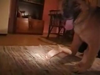 Big Boobs Xxx Hentai Porn Movies