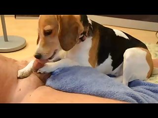 Bridget Ziegler Porn Xxx