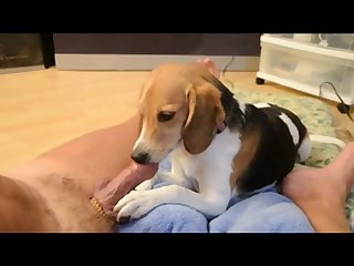 Bridget Ziegler Porn Xxx