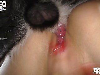 Abigaile Johnson Porn Xxx