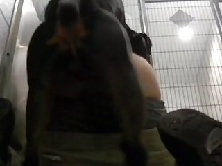 Ai Porn Websites Xxx