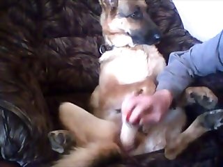 Club Seventeen Lesbian Xxx Porn