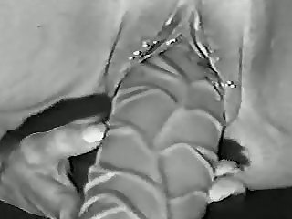 Tommy Cabrio Xxx Porn