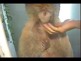 Lesbian Foot Fucking Porn Xxx