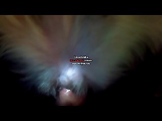 Japonesas Interracial Porn Xxx