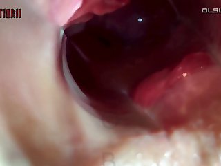 Xxx Porn Brazzers .com