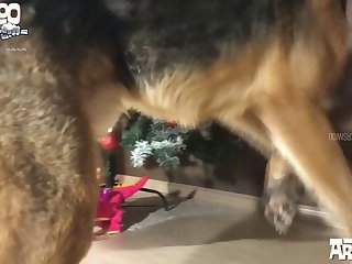 Xxx Threesome Hardcore Porn