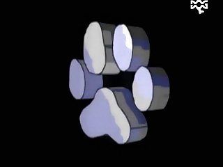 Animal Sex Videos With Humans