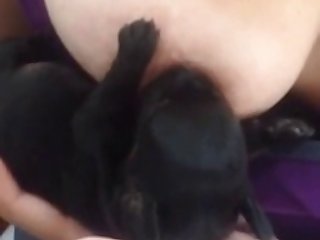 Animal Sex Animal Sex Animal Sex