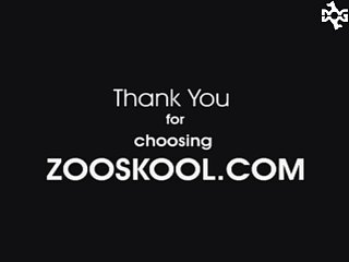 Active Horse Zoo Porn