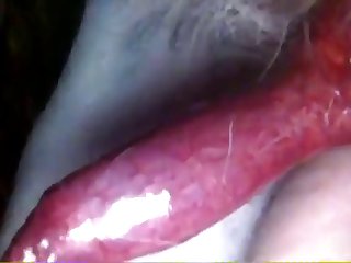 Attila Porn Video
