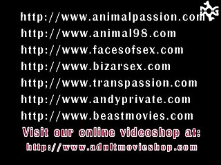 Attila Balog Gay Porn