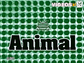 Animal Xnxx Xxx