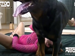 Animal Hd Porn Video