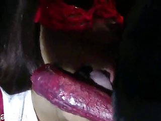 Stefnii Watson Porn Fuck Dog Sex Video Leaked