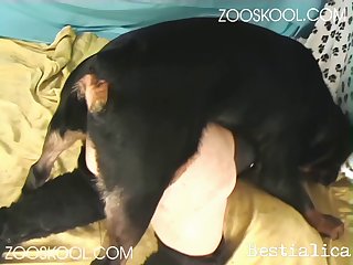 Hd Xnxx Tube Xxx Porn Movies. Free Sex Videos