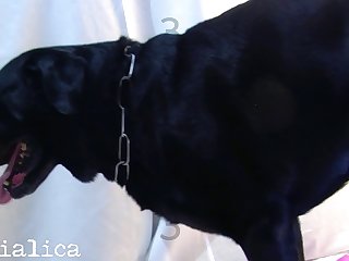 Xnxx Xxx Porn Hub