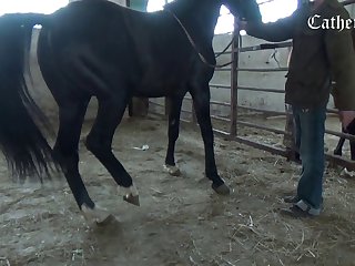 Skirby Dog Video Porn Leak