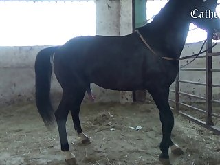 Skirby Dog Video Porn Leak