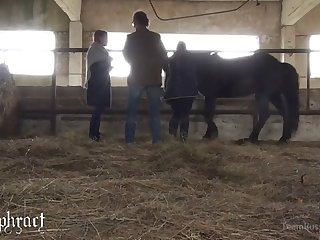 Animal Crossing Egyptian Cat Video Pornhub