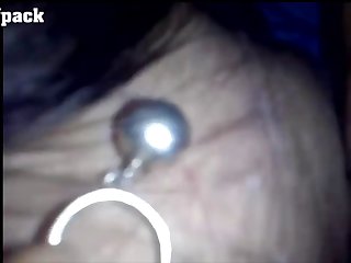 Animal Sex Dolphin