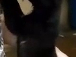 Animal Sex Dog With Dog