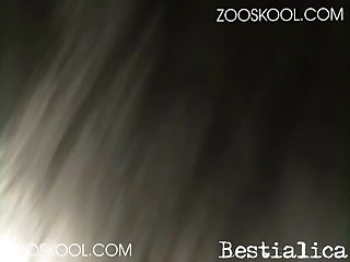 Animal Sex With Girls Videos