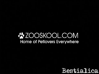 Animal Sex With Girls Videos