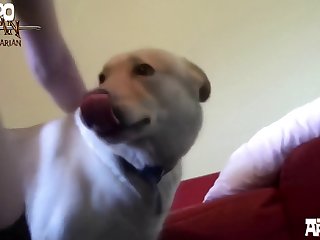 Animal Sex Telegram Channel