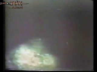 Free Animal Sex Vidz