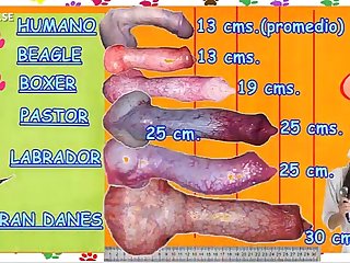 Zoo Manual Dog Lovers xxxxx