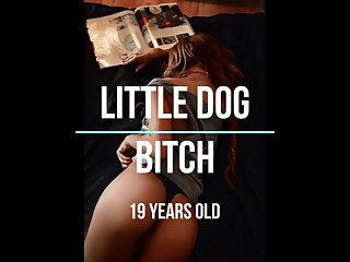 Video Pork Por Boar Porn Com