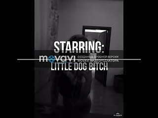 Video Pork Por Boar Porn Com