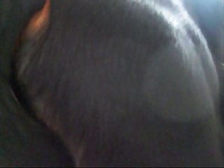 Catherine 2 Zoo Porn