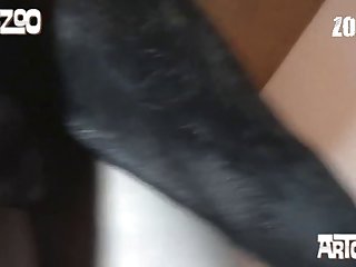 Sexy Girl And Animal Sex