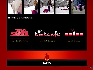 Human And Animal Sex Movie