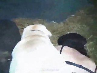 Selena Zoo Porn