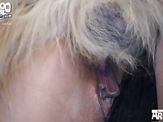 Cupcake Art Of Zoo Porn