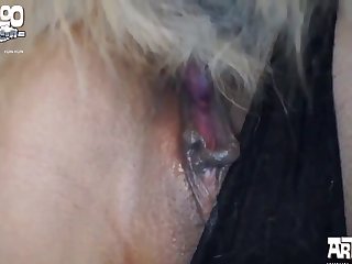 Cupcake Art Of Zoo Porn