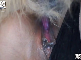 Cupcake Art Of Zoo Porn